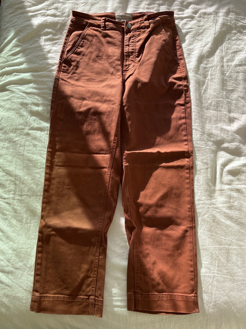 Everlane The Utility Straight-Leg Pants in Rust